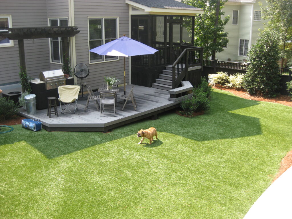 dog walking on synthetic turf in a backyard