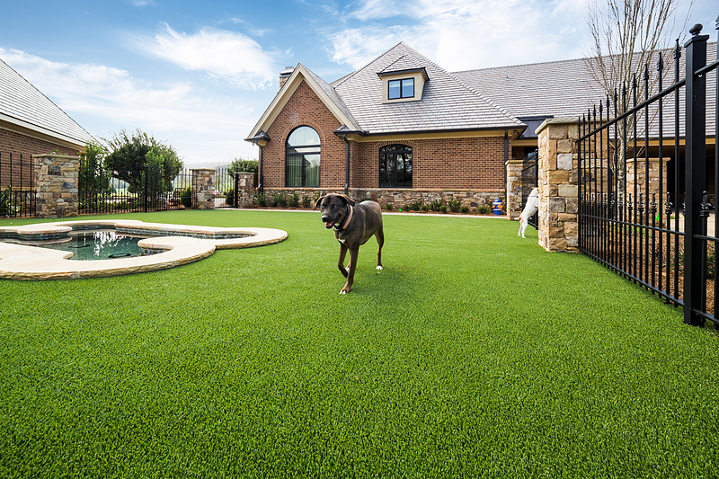 Pet Turf and Artificial Grass