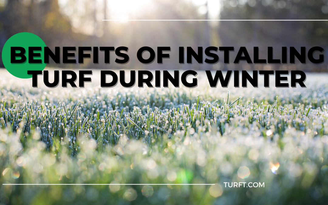 Benefits of Installing Turf During Winter