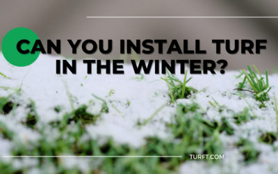 Can You Install Turf in the Winter? Everything You Need to Know