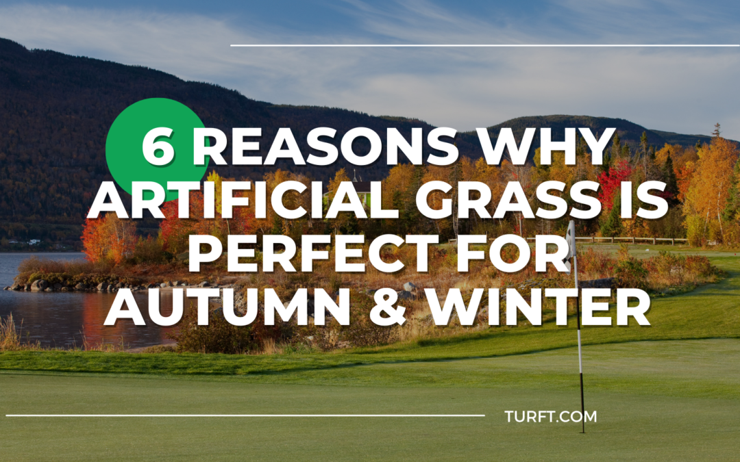 6 Reasons Why Artificial Grass is Perfect for Autumn and Winter