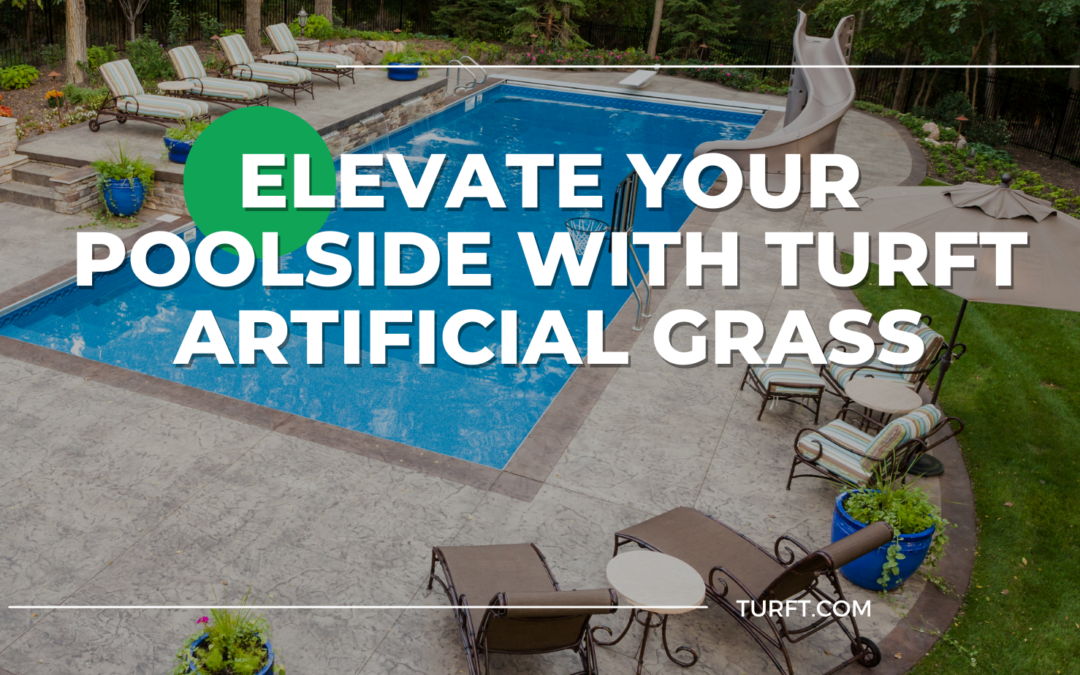 Elevate Your Poolside with Turft Artificial Grass