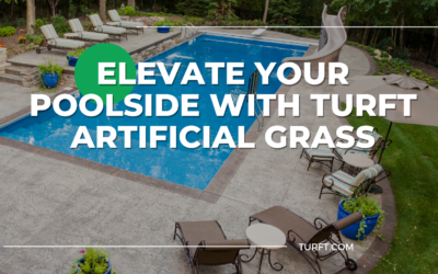 Elevate Your Poolside with Turft Artificial Grass