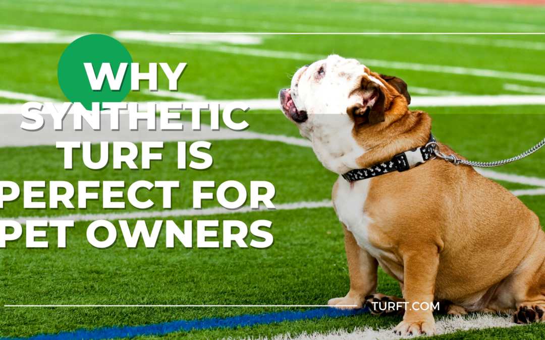 Why Synthetic Turf Is Perfect for Pet Owners