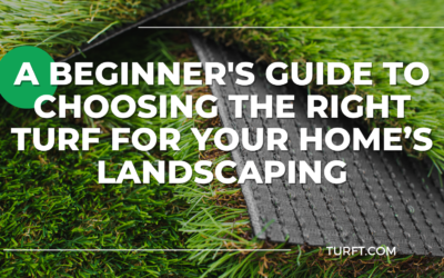 A Beginner’s Guide to Choosing the Right Turf for Your Home’s Landscape