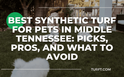 Best Synthetic Turf for Pets in Middle Tennessee: Picks, Pros, and What to Avoid